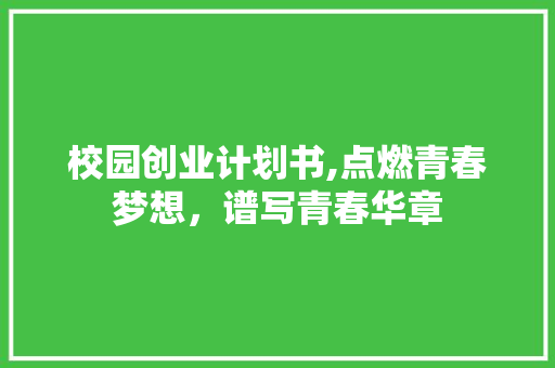 校园创业计划书,点燃青春梦想，谱写青春华章