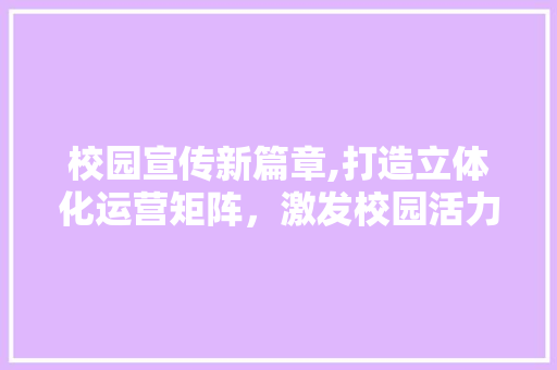 校园宣传新篇章,打造立体化运营矩阵，激发校园活力