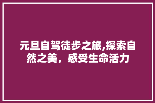 元旦自驾徒步之旅,探索自然之美，感受生命活力