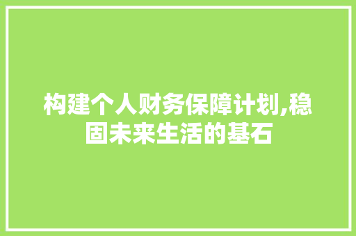 构建个人财务保障计划,稳固未来生活的基石