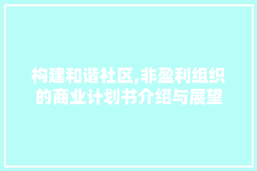 构建和谐社区,非盈利组织的商业计划书介绍与展望