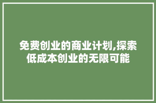 免费创业的商业计划,探索低成本创业的无限可能