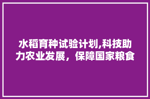 水稻育种试验计划,科技助力农业发展，保障国家粮食安全