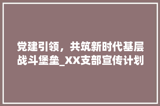 党建引领，共筑新时代基层战斗堡垒_XX支部宣传计划解读