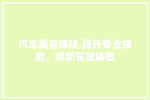 汽车美容课程,提升专业技能，焕新驾驶体验