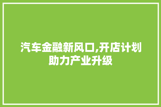 汽车金融新风口,开店计划助力产业升级
