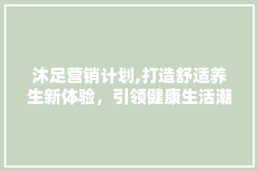 沐足营销计划,打造舒适养生新体验，引领健康生活潮流