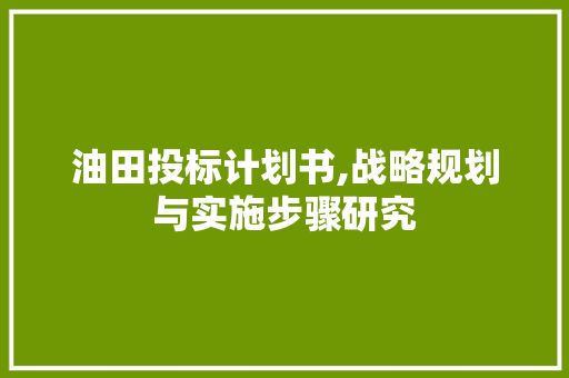 油田投标计划书,战略规划与实施步骤研究