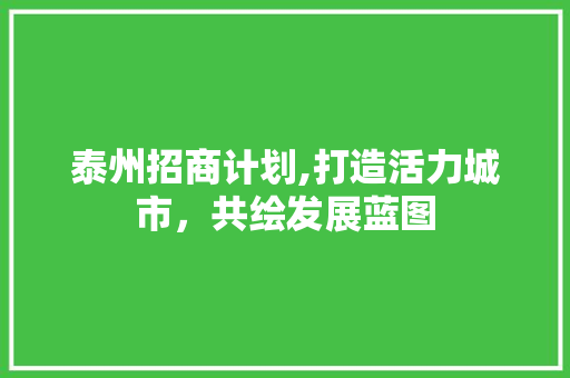泰州招商计划,打造活力城市，共绘发展蓝图