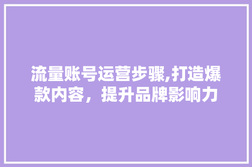 流量账号运营步骤,打造爆款内容，提升品牌影响力