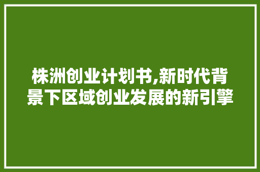 株洲创业计划书,新时代背景下区域创业发展的新引擎