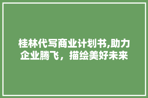 桂林代写商业计划书,助力企业腾飞，描绘美好未来