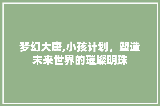 梦幻大唐,小孩计划，塑造未来世界的璀璨明珠