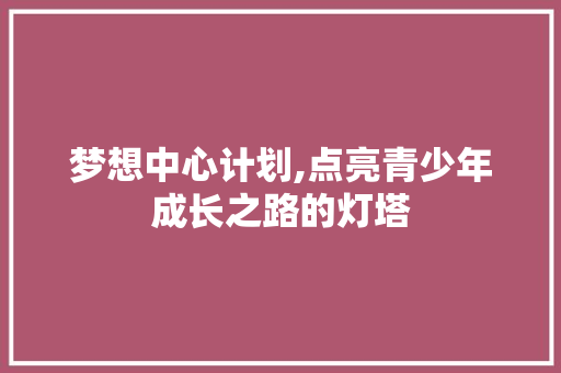梦想中心计划,点亮青少年成长之路的灯塔