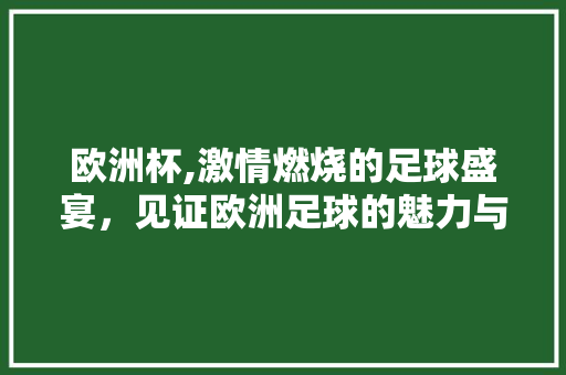欧洲杯,激情燃烧的足球盛宴，见证欧洲足球的魅力与荣耀
