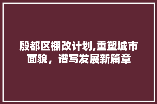 殷都区棚改计划,重塑城市面貌，谱写发展新篇章