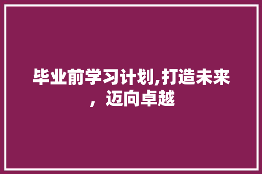 毕业前学习计划,打造未来，迈向卓越