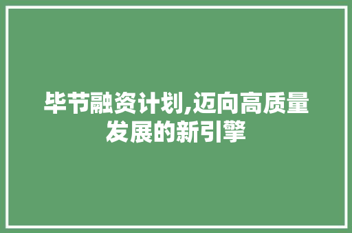 毕节融资计划,迈向高质量发展的新引擎