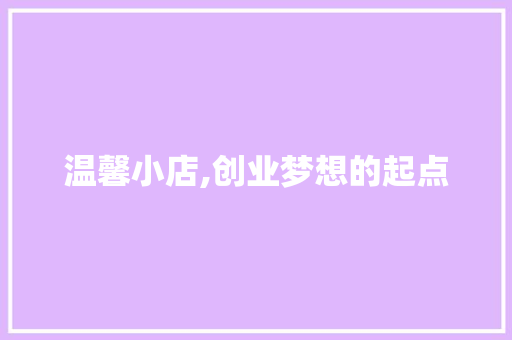 温馨小店,创业梦想的起点