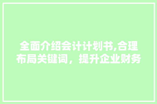 全面介绍会计计划书,合理布局关键词，提升企业财务管理水平