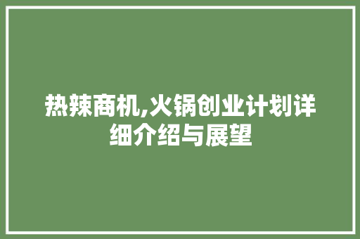 热辣商机,火锅创业计划详细介绍与展望