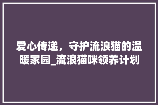 爱心传递，守护流浪猫的温暖家园_流浪猫咪领养计划 演讲稿