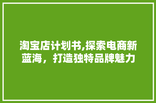 淘宝店计划书,探索电商新蓝海，打造独特品牌魅力