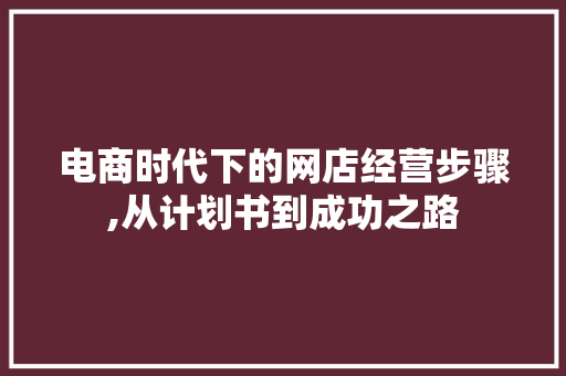 电商时代下的网店经营步骤,从计划书到成功之路