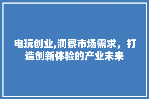 电玩创业,洞察市场需求，打造创新体验的产业未来 工作计划