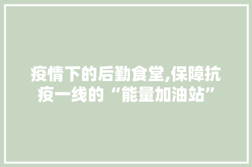 疫情下的后勤食堂,保障抗疫一线的“能量加油站”