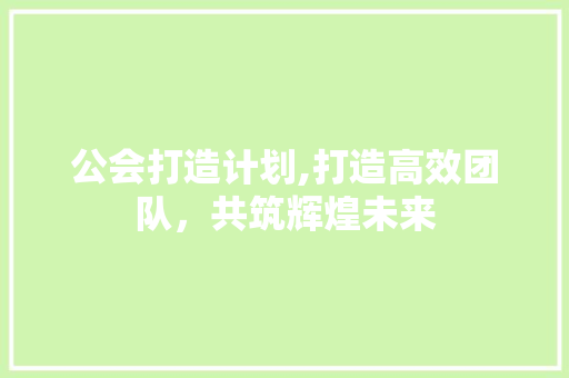 公会打造计划,打造高效团队，共筑辉煌未来