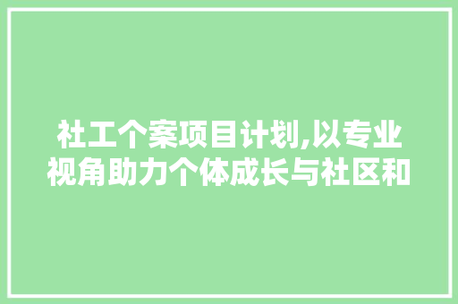 社工个案项目计划,以专业视角助力个体成长与社区和谐