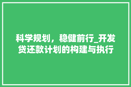 科学规划，稳健前行_开发贷还款计划的构建与执行