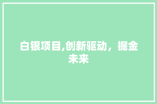 白银项目,创新驱动，掘金未来