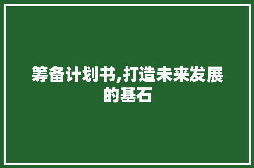 筹备计划书,打造未来发展的基石
