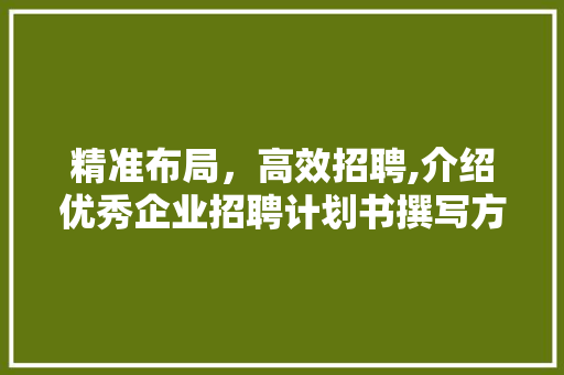 精准布局，高效招聘,介绍优秀企业招聘计划书撰写方法