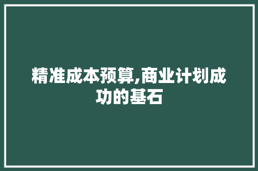 精准成本预算,商业计划成功的基石