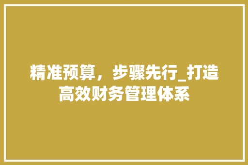 精准预算，步骤先行_打造高效财务管理体系