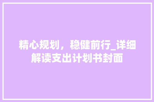 精心规划，稳健前行_详细解读支出计划书封面