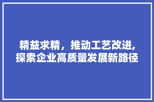 精益求精，推动工艺改进,探索企业高质量发展新路径
