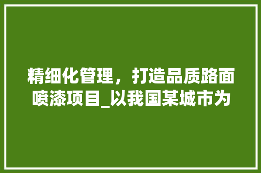 精细化管理，打造品质路面喷漆项目_以我国某城市为例