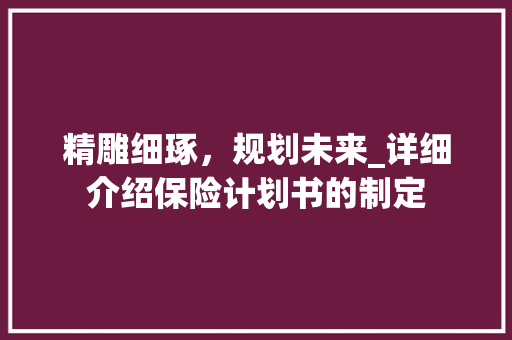 精雕细琢，规划未来_详细介绍保险计划书的制定