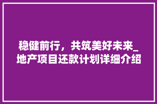 稳健前行，共筑美好未来_地产项目还款计划详细介绍