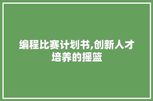 编程比赛计划书,创新人才培养的摇篮