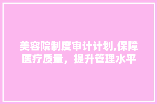 美容院制度审计计划,保障医疗质量，提升管理水平