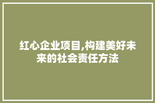 红心企业项目,构建美好未来的社会责任方法