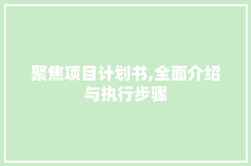 聚焦项目计划书,全面介绍与执行步骤