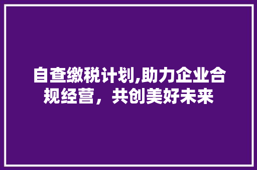 自查缴税计划,助力企业合规经营，共创美好未来