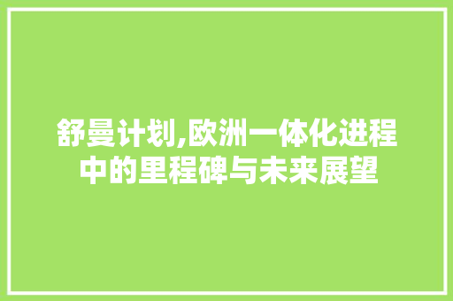 舒曼计划,欧洲一体化进程中的里程碑与未来展望