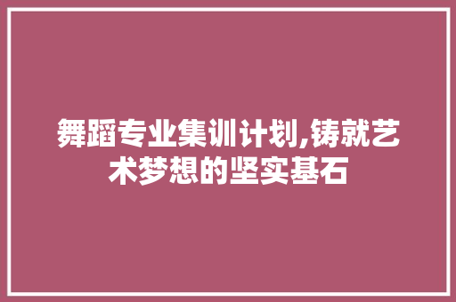 舞蹈专业集训计划,铸就艺术梦想的坚实基石